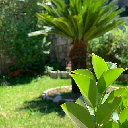 Tatil Evi Theosis